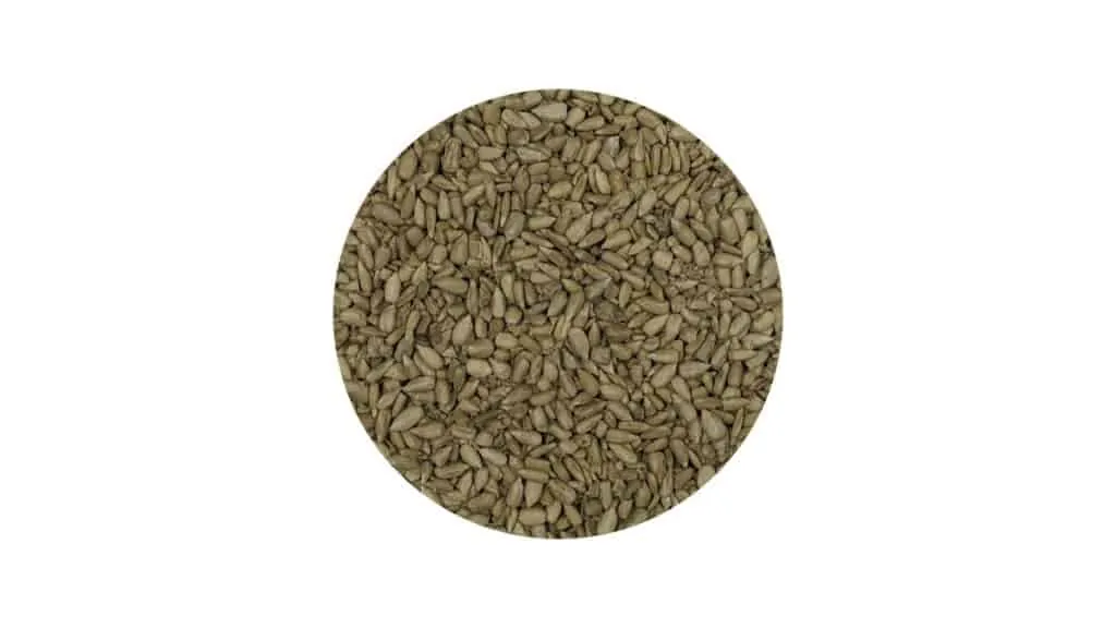 Sonnenblumenkerne geschält